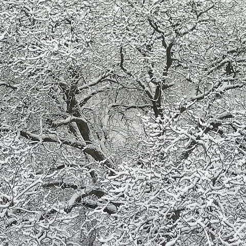 Köyün Kış Fotoğrafları — fotoğraf 29