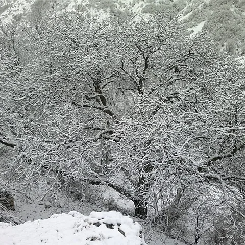 Köyün Kış Fotoğrafları — fotoğraf 31