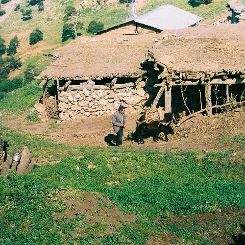 Yayla Göçü — fotoğraf 10